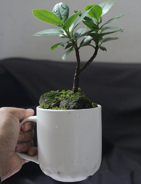 Why are aeroplanes white in colour? 