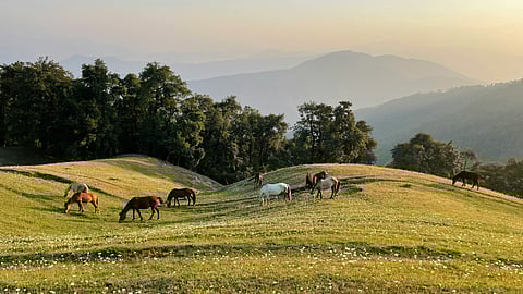 Dehradun Literature Festival 2025 to return with its 7th edition in November 