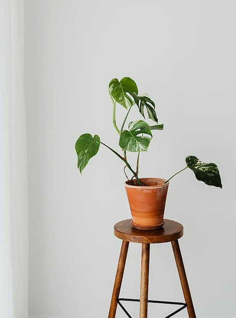 Sandipan Garg, Assam DSP and Zubeen’s cousin, sent to seven days police custody