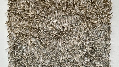 Toby Talbot, leading patron of art house film, dies at 96, report says