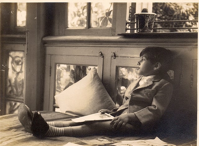 A boy gazes out the window