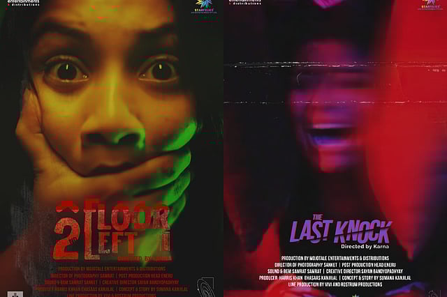 Official Posters of the two thrillers 