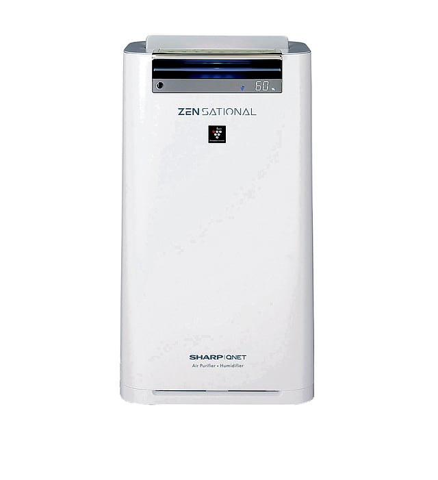 SHARP QNET Zensational 