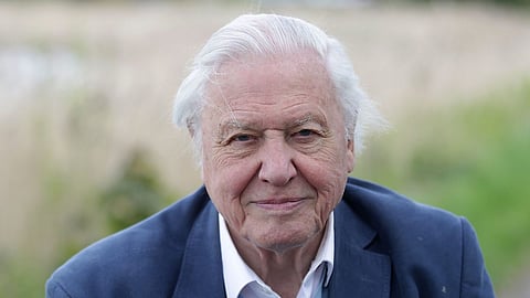 David Attenborough wins Daytime Emmy at 99, breaks record