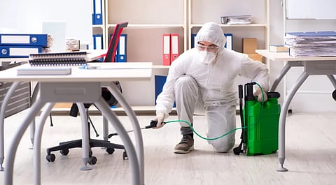 Google’s New York office faces bed bug issue, employees told to stay home