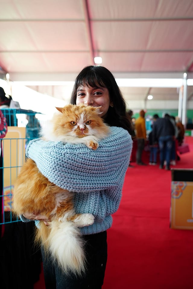India’s largest pet festival, Pet Fed 2025 to kicks off in Pune with a bigger, ‘pawsome’ edition