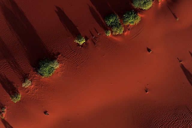 The red sand dunes in Wild Tamil Nadu