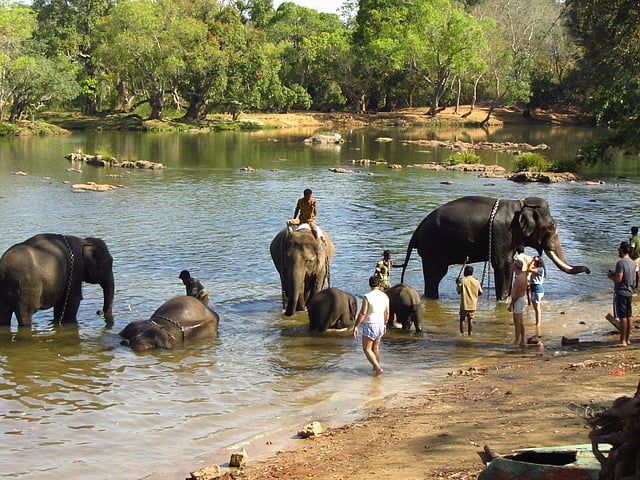Top destinations to experience Kannada culture this Rajyotsava!