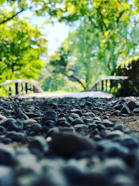 5 Tokyo gardens worth visiting 