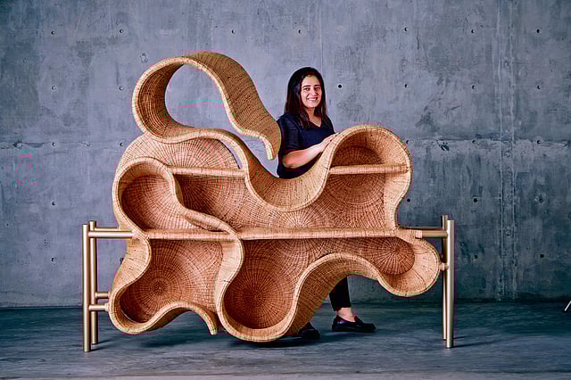 The Pagdandi wall units trace the undefined paths of the forest