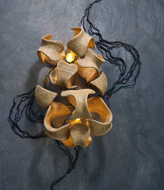 Wildwood Collection by The Wicker Story 