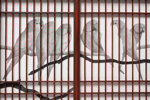 LATITUDE 28’s new space in Delhi turns exhibits and architecture into one performing organism