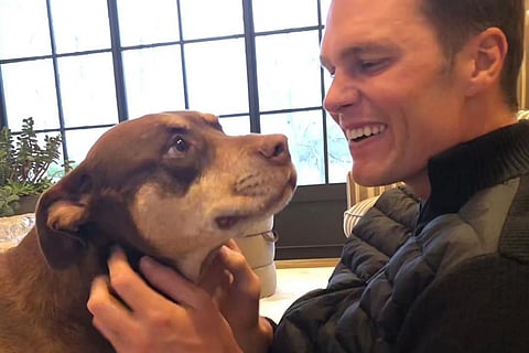 Tom Brady with his new dog, Junie