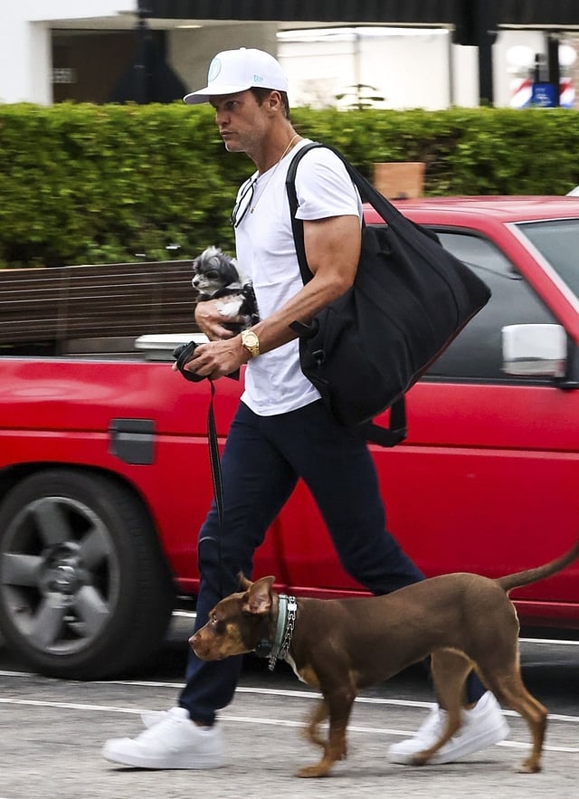 Tom Brady with his old dog, Lua