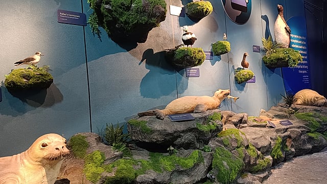 BITM Kolkata expands Lost at Sea  gallery 