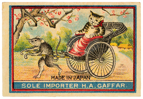 MAP Bengaluru unveils a new art exhibition, The Many Lives of the Cat!