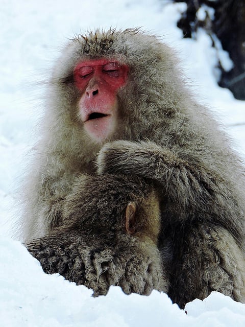 Paris Hilton opens up about allegations on Ghislaine Maxwell 