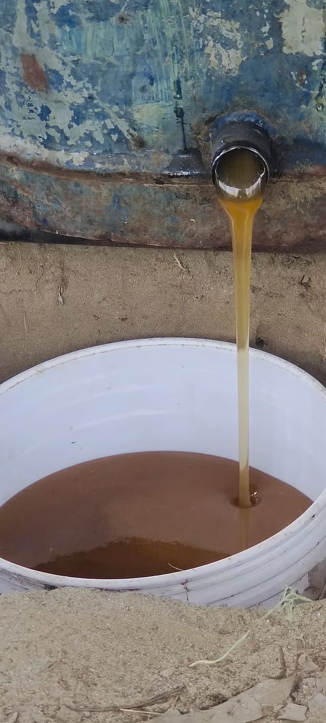 Delhi's beekeepers in action 