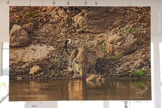 A photograph from the exhibition