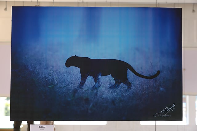 A photograph from the exhibition