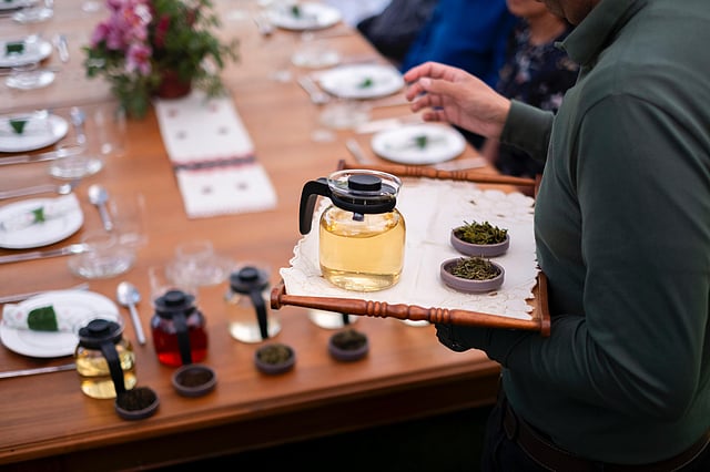 How does the Nilgiris Earth Festival 2025 offer a unique way of experiencing the region?