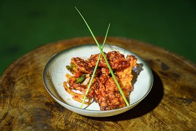 The Nautilus on the Ganges