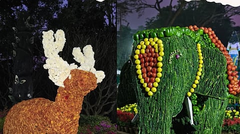 Bangalore hosts a massive flower exhibition in Cubbon Park