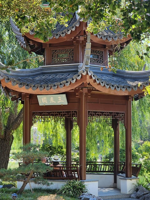 Japanese plants that survive outside the country and offer a zen vibe