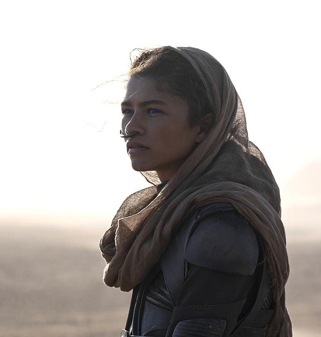 Six releases in 2026: Here is a complete list of films and series featuring Zendaya