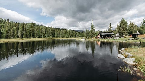 Going camping? Do these 6 checks before setting up your tent