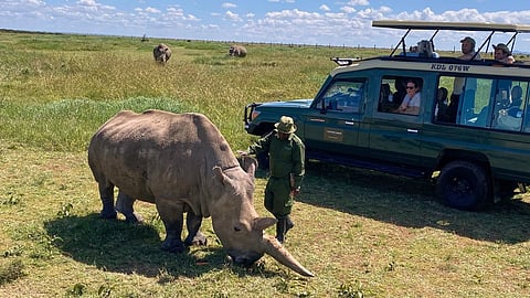 A Kenyan safari that traces conservation beyond wildlife sightings