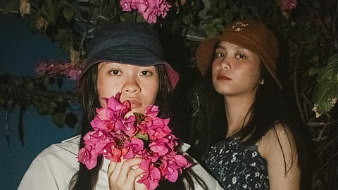 Warned about going near plants at night? Let’s decode the truth or myth in it! 