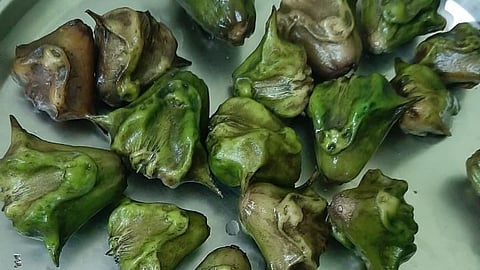 How to devour water chestnuts in different styles? 