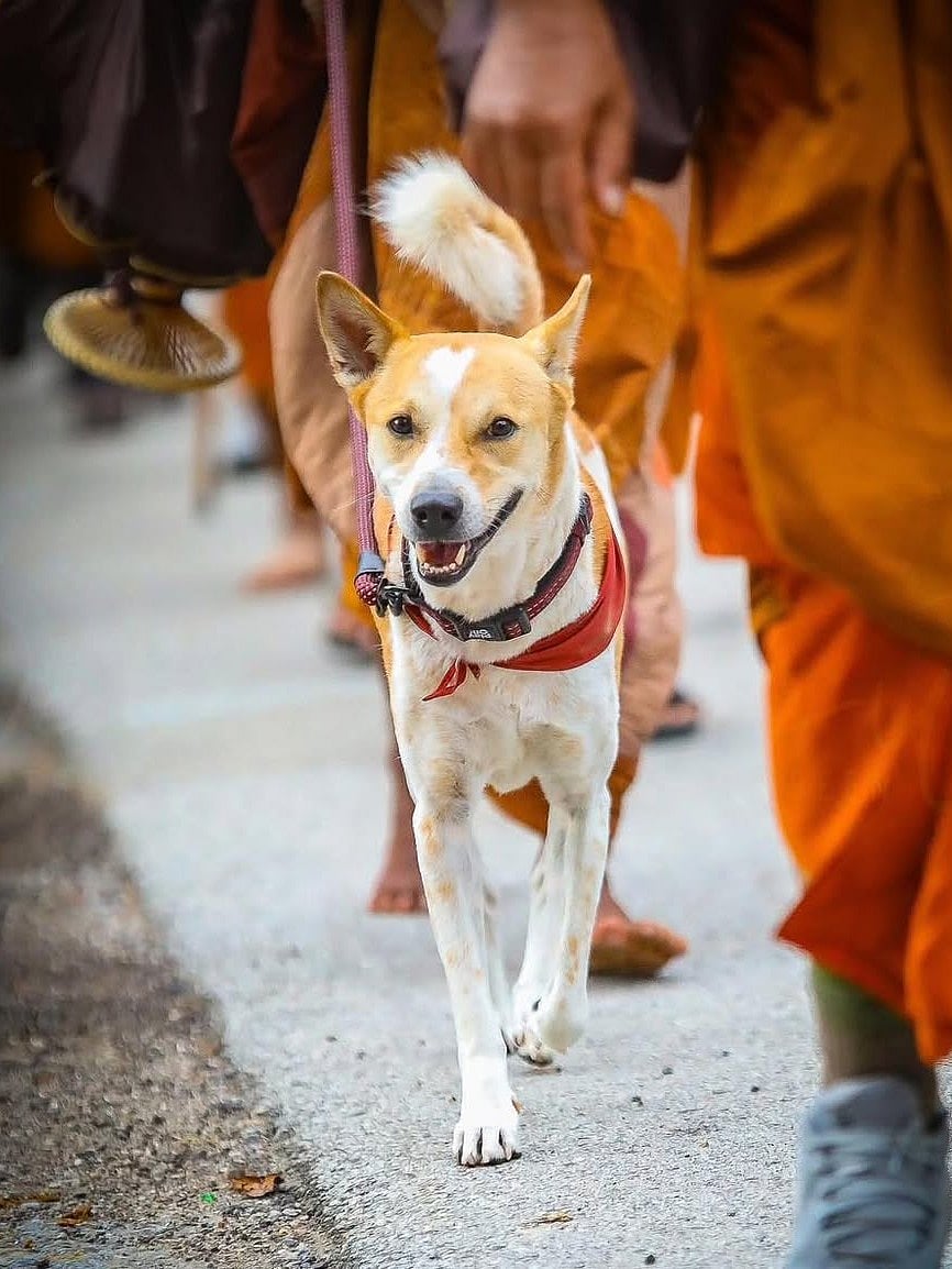 Indie Rock - Quick Outline | Teaching Resources, image size:1200x1599