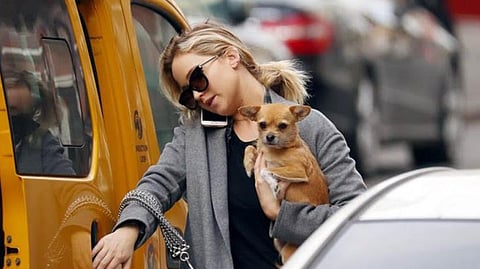 Jennifer with her little pooch