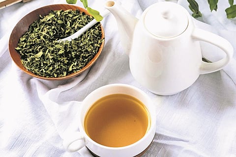 The ultimate guide to supporting blood health naturally