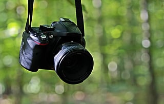 What’s happening in Chennai: Top picks for this week (January 30 - February 5 2026)