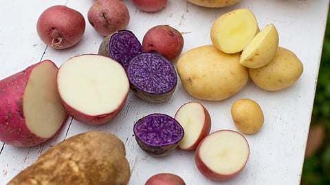 Could chilling rice and pasta help reduce blood sugar spikes?