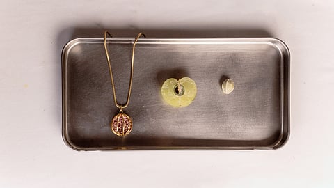 Meghna Ratra's Maison Megh from Jaipur finds muse in
Indian fruits and traditional games