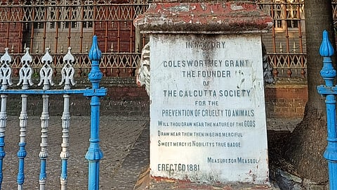 Do you know about Colesworthey Grant, the artist who raised a voice for the voiceless?