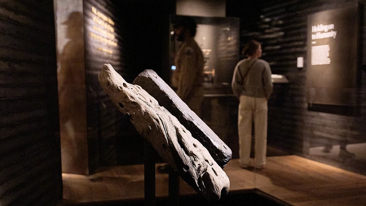 Smithsonian to return recovered slave ship timber to South Africa
