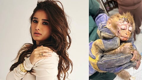 Rasha Thadani adopts baby monkey Angad, turns her love for animals into action