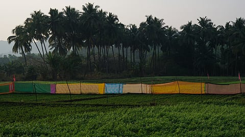 Art exhibition in Delhi explores the many facets of space today