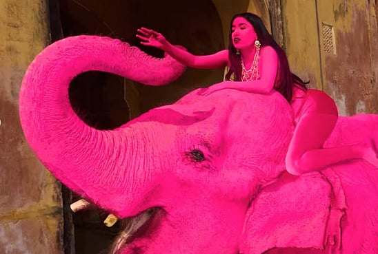 Artistic expression or animal abuse? Julia Buruleva under fire for pink elephant photoshoot