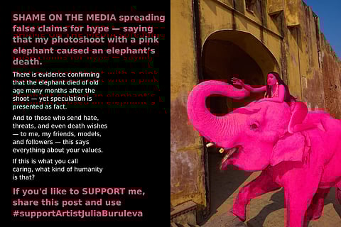 Viral Pink Elephant photographer issues an online petition for herself; claims the animal died out of old age
