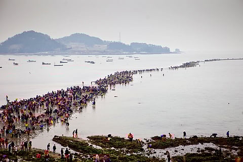 A road through the ocean: Inside South Korea’s Jindo sea miracle