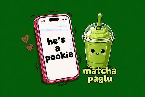 Emotional accelerators: Inside Gen Z’s playful new lexicon of ‘Baddie’, ‘Paglu’ and ‘Pookie’ in dating bios