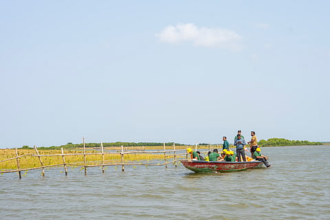As mangroves absorb carbon and history absorbs time, this coastal trail offers a layered, deeply reflective travel experience