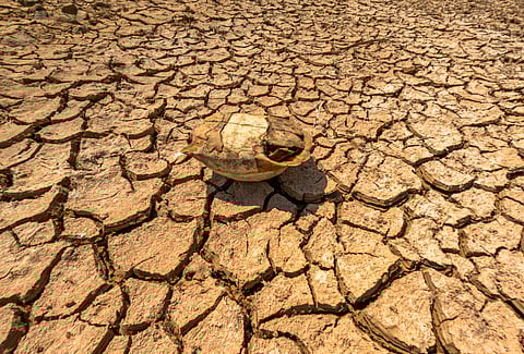 India heatwave alert 2026: Govt issues emergency warning; here's what to do