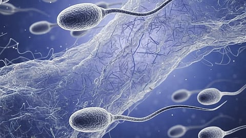 The Sperm Racing World Cup is a bizarre new global competition that turns human fertility into a high-tech sport
